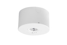 Аварійний світильник NEXO, LED, 2.5W, 350lm, 6400K, AC220-240V, IP65, 3h, TEST, білий