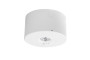 Аварійний світильник NEXO, LED, 2.5W, 350lm, 6400K, AC220-240V, IP65, 3h, TEST, білий