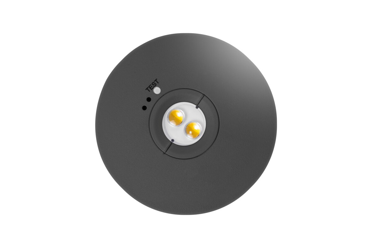 Аварійний світильник NEXO, LED, 2.5W, 350lm, 6400K, AC220-240V, IP65, 3h, TEST, чорний