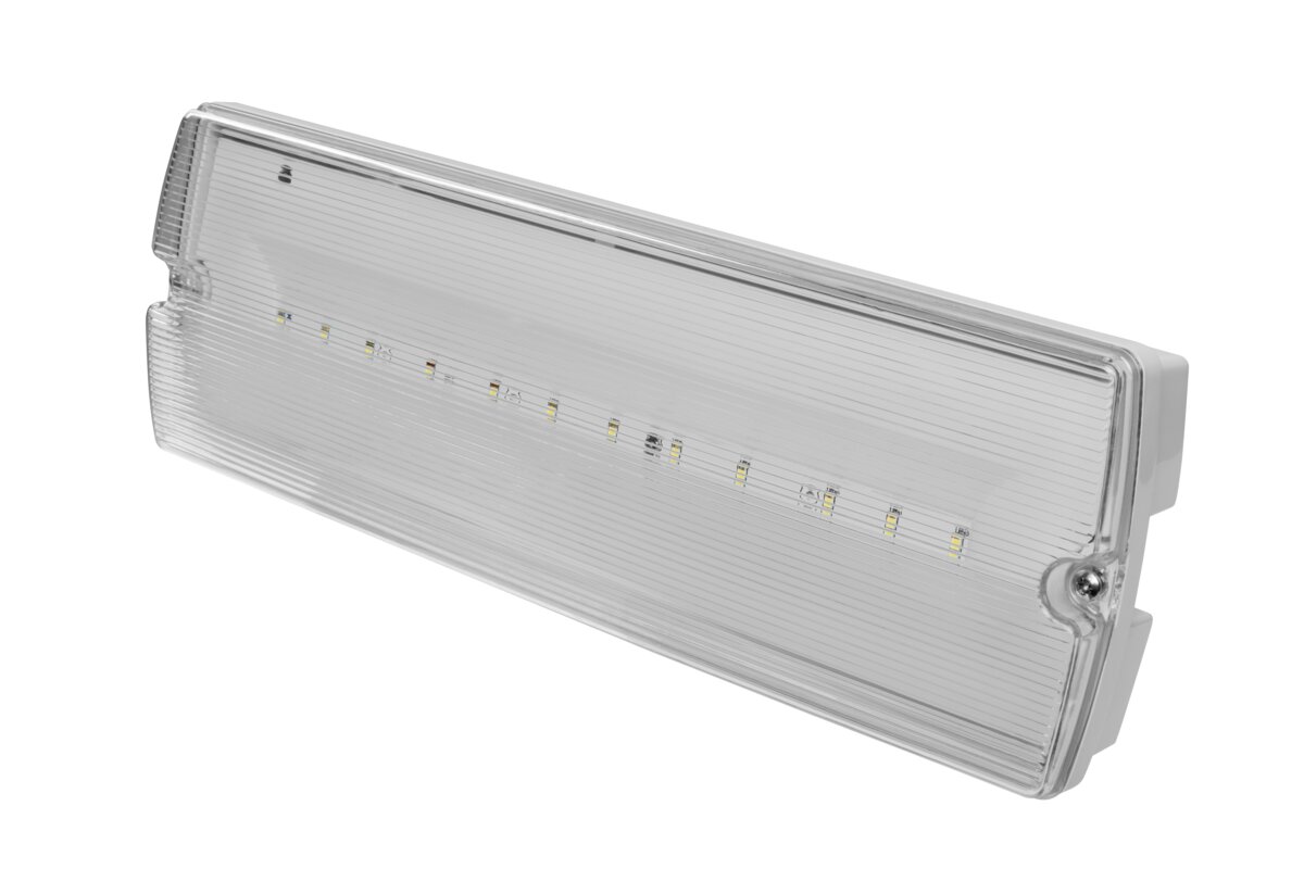 Аварійний світильник TERNO-1, LED, 3W, 250lm, 6400K, AC220-240V, IP65, 1h, дворежимний, TEST