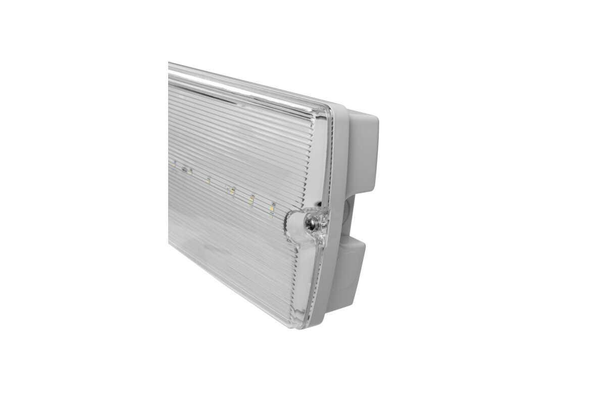 Аварійний світильник TERNO-3, LED, 3W, 250lm, 6400K, AC220-240V, IP65, 3h, дворежимний, TEST