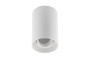 Корпус світильника стельового RESTO, макс. 10 Вт (LED ONLY), Ø80×125 мм, IP20, PC, бiлий